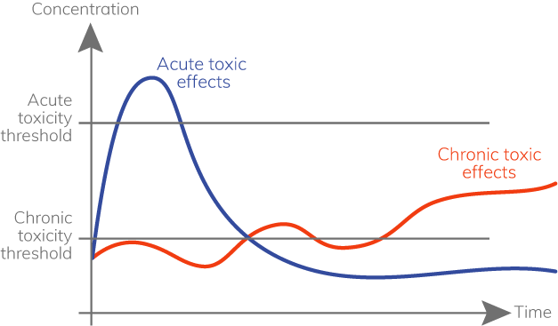 schema toxicite chronique